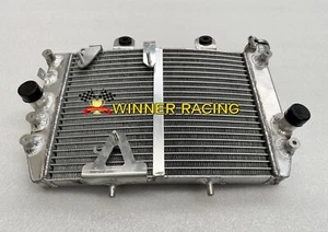 👍ALUMINUM RADIATOR for Harley-Davidson Nightster RH975 Special RH975S 2022-2024 - Picture 1 of 8