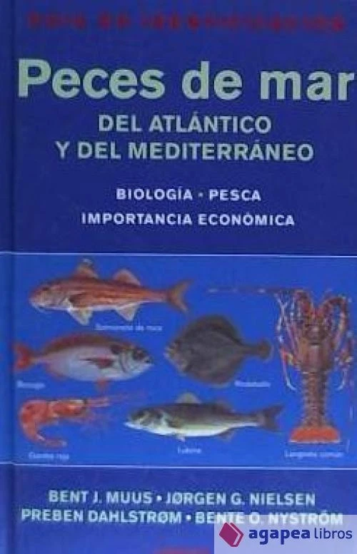 PECES DE MAR DEL ATLÁNTICO Y DEL MEDITERRÁNEO. NUEVO. ENVÍO URGENTE (Librería Ag - Imagen 1 de 1