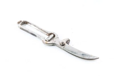 alte Geflügelschere Vintage Küche Schere Geflügel  - Bild 1 von 4