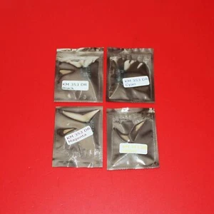 4 pcs Imaging Unit Drum chips for Konica Minolta Bizhub C353 353 IU-313K/C/M/Y - Picture 1 of 1