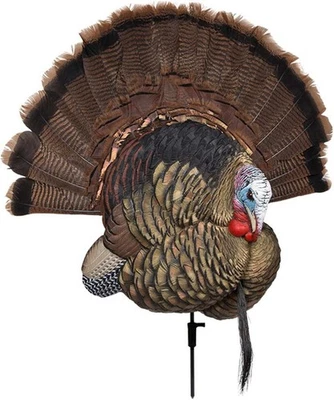 Avian X Turkey Trophy Tom Display Mount/Decoy, Black, AVX-AVX8021 - Image 1 of 3