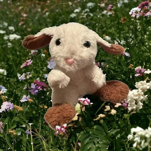 Imagine Nation Kids Quiet Bunny Hase Plüsch weiß 2009 Autorin Lisa McCue - Bild 1 von 11