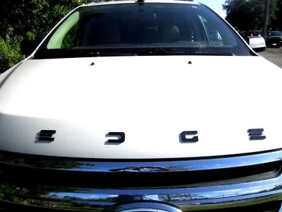 1x Emblema Borde Negro OEM se adapta a la Insignia Capucha Borde Brillante Foto 1 de 2