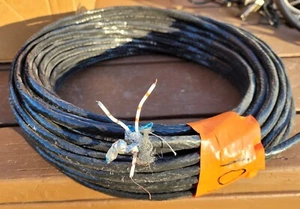 100' ft + Berk-Tek CMP Double Twinax ? 4716749 IBM Shielded Network Coax Cable - Afbeelding 1 van 2
