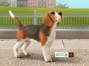 Beagle Hundespielzeug Modellfigur von CollectA 88935 Kuchenaufleger Neu - Bild 1 von 2