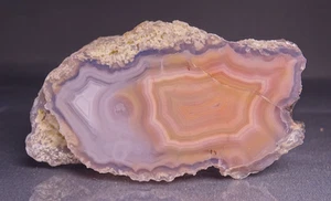 Laguna Agate Half Nodule Collector Rock Mexico - Picture 1 of 5