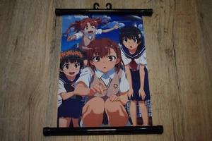 WS0352 Anime Manga Wallscroll Póster Impresiones artísticas Imágenes Crazy Girl Super Party - Imagen 1 de 1