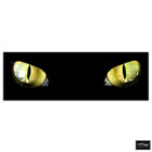 Cats Eyes   Animals BOX FRAMED CANVAS ART Picture HDR 280gsm