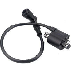 Ignition Coil for 50cc 90cc 110cc 125cc 150cc 200cc 250cc ATV Quad Dirt Pit B... - Picture 1 of 4