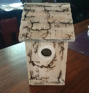 Vogelhaus Lichtenberg brennende Fraktalverbrennung Elektroschlag Verbrennungen - Bild 1 von 5