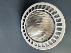 12 LED PAR38 17 Watt  5000K  - Picture 1 of 2