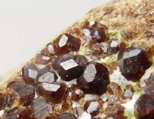 GARNET var. ANDRADITE crystals & EPIDOTE - AZERBAIJAN Caucasus - Dashkesan pf703 - Picture 1 of 11