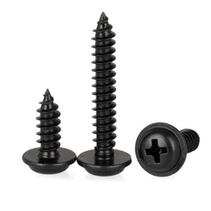 Phillips Modified Truss Head Wood Self Tapping Screws Black 304 Stainless Steel - Picture 1 of 6