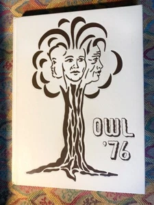 1976 The OWL Lynbrook HIGH SCHOOL YEARBOOK Lynbrook Long Island NY - Picture 1 of 2
