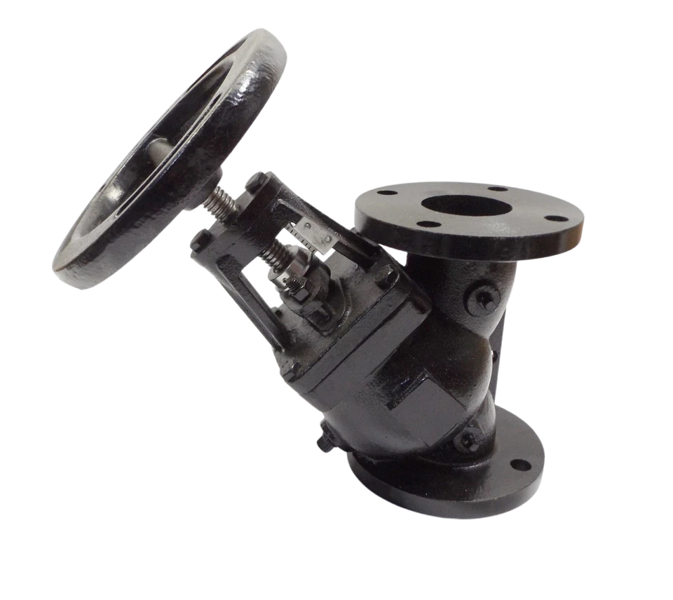 Válvula de retención Ssi 3′′ brida de hierro fundido brida X negra clase 125 Foto 1 de 1