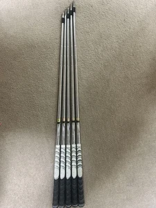 Dynamic Gold X 100 Shaft No. 6 P 5 Pieces - Picture 1 of 4