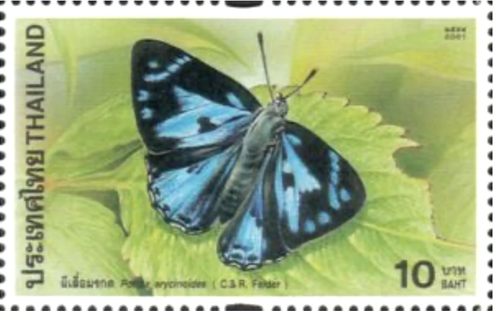 Thailand #Mi2103 MNH 2001 Blue Gem Poritia erycinoides [1994] - Image 1 of 1