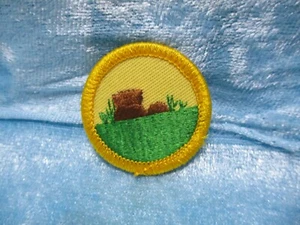 Girl Scout Patch - Picture 1 of 1