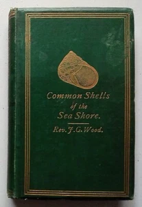 Wood, John George - Common Shells of the Sea Shore - George B. Sowerby - (1865) - Picture 1 of 7