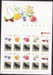 Japan personalized stamp sheet, butterfly (jps4541) - Picture 1 of 1
