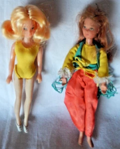 SELTENE Mattel 70er Jahre ROCK FLOWERS 6 1/2" Puppe im original Flares n' Lace Outfit - Bild 1 von 3