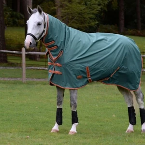 Weatherbeeta ComFiTec Tyro Combo Neck Lite Plus - Foto 1 di 15