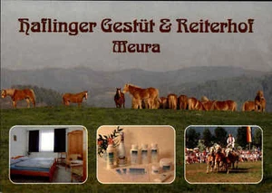 HAFLINGER Gestüt in MEURA, Mehrbild-AK Pferde, Horse Horses, Postcard, Hotel AK - Picture 1 of 2