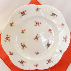 ROSE SPRAY by Shelley Dinner Plate 10.8" NEW NEVER USED made in England   - Picture 1 of 2