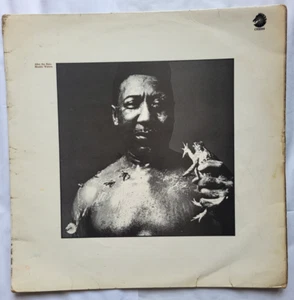 MUDDY WATERS - AFTER THE RAIN - LP 1969 UK 1ST - CHESS – CRLS 4553 - Picture 1 of 11