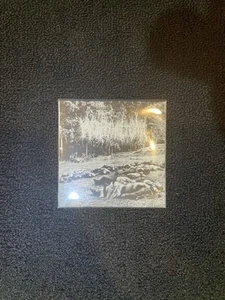 Goregrind cdr - Picture 1 of 1