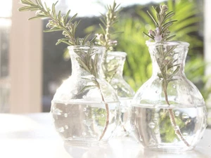 DE COLECCIÓN JARRÓN FLORERO DE FIESTA VIDRIO BODA BOTÁNICO DECORACIÓN DEL HOGAR NAVIDAD - Imagen 1 de 7
