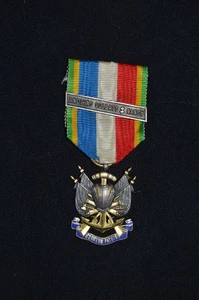 MEDAILLE ANCIENS COMBATTANTS GUERRE 1870/1871-ASSOCIATION ANCIENS SOLDATS NANCY - Picture 1 of 2