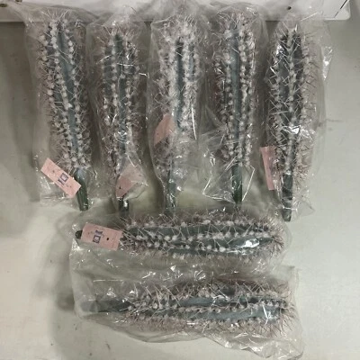 Lote de 7-8 pulgadas planta de cactus artificial verde seda imperial follaje sedoso Foto 1 de 4