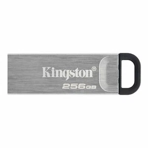 Kingston DataTraveler Kyson 256GB High Performance USB 3.2 Metal Flash Drive ... - Picture 1 of 7