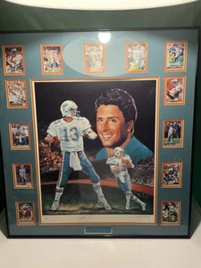 DAN MARINO SIGNED PICTURE FRAMED W/ 13 NFL Cards 371/650 - Picture 1 of 20