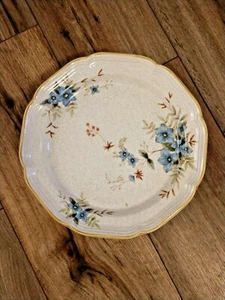 Mikasa Garden Club DAY DREAMS EC461 Dinner Plate 10 5/8"  Oven To Table EXC - Picture 1 of 3