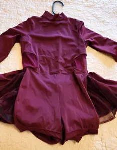 Girls Size Medium Child (8-10) Professional Dance Costume Plum EUC long sleeve - Picture 1 of 20