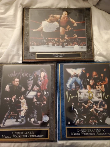 3Wrestling Plaques, World Wrestling Federation! Undertaker and Steve Austin! Cover