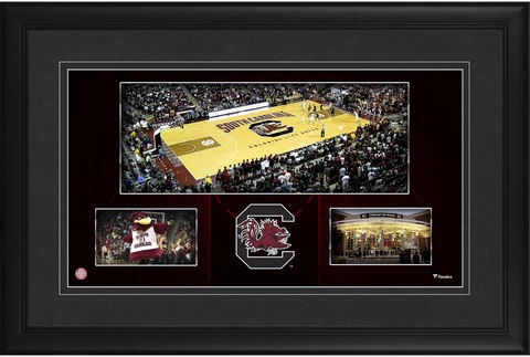 South Carolina Gamecocks Framed 10x18 Colonial Life Arean Panoramic Collage Cover