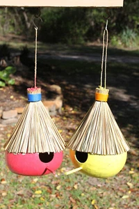 2pc COCONUT BIRD HOUSES, Yellow And Pink Bird Habitat, Mothers Day Gift - Picture 1 of 7