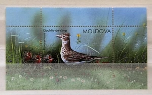 Moldavia: Birds 2015 S/S, montado sin montar o nunca montado - Imagen 1 de 1