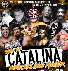 The Wrestling Revolver - The Fn Catalina Wrestling Mixer DVD, CZW NXT AAA ROH - Imagen 1 de 1