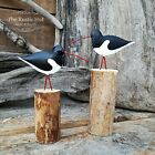 Pair Of Individual Oystercatchers On Wood Nautical Ornaments - Shoeless Joe 