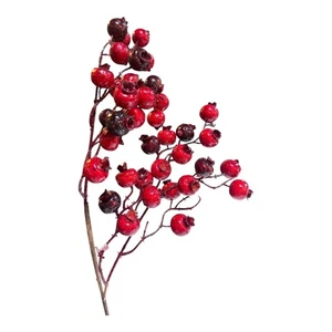 Blumen - Roter Granatapfel Cluster - Bild 1 von 2