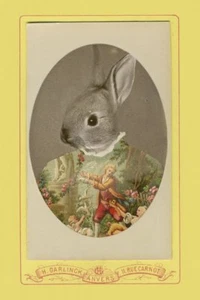 Joséphine by Philippe Debongnie Art Print or Canvas Print Choose Size Rabbit - Picture 1 of 1