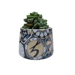 Porta piantina collezione Teodosia Blue Gattinoni - Imagen 1 de 4