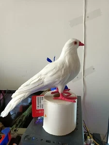big simulation foam&feather white dove model garden decoration about 30cm - Afbeelding 1 van 4