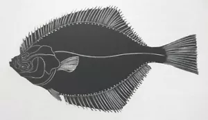 FLOUNDER : 1920s Print of an Art Deco Woodcut / Woodblock By Daglish - Picture 1 of 1