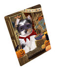 Halloween Trick Or Treat Dog Cat Pet Photo Refrigerator Magnet 8.7x11.5 In