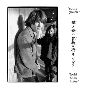 Sonic Youth - Hold That Tiger - Vinyl / 12" Album - Picture 1 of 1